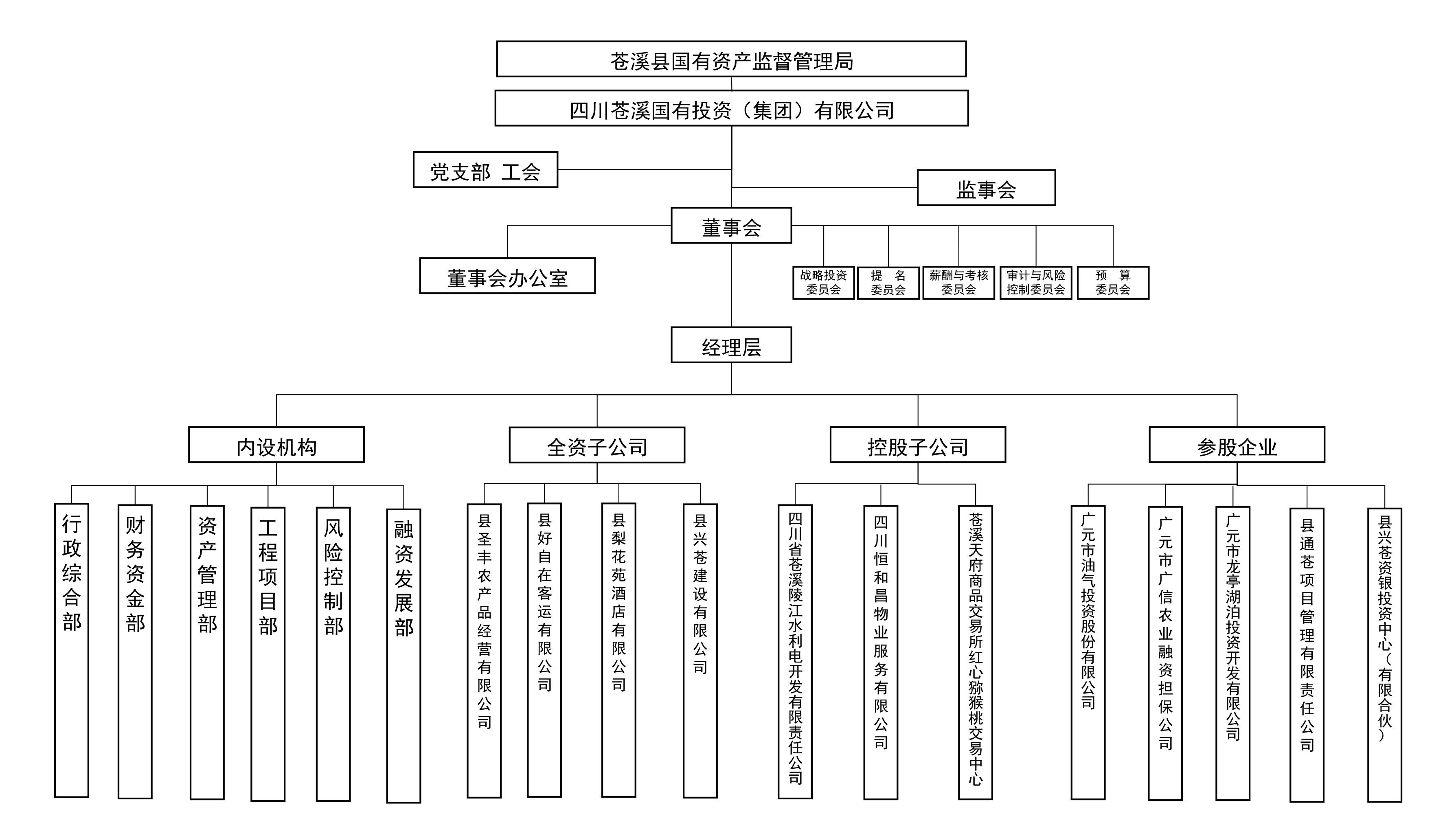 公司概况 / 组织架构_四川苍溪国有投资(集团)有限公司